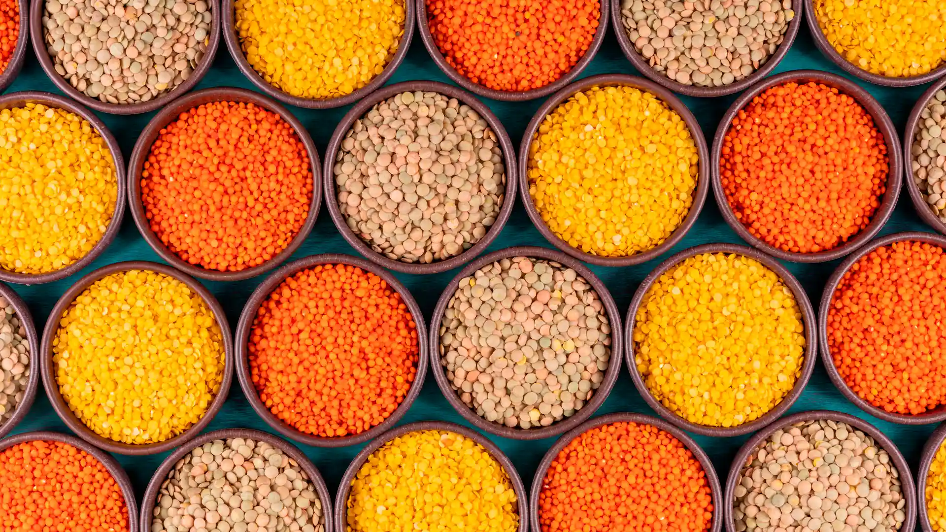Legume seeds in bowls